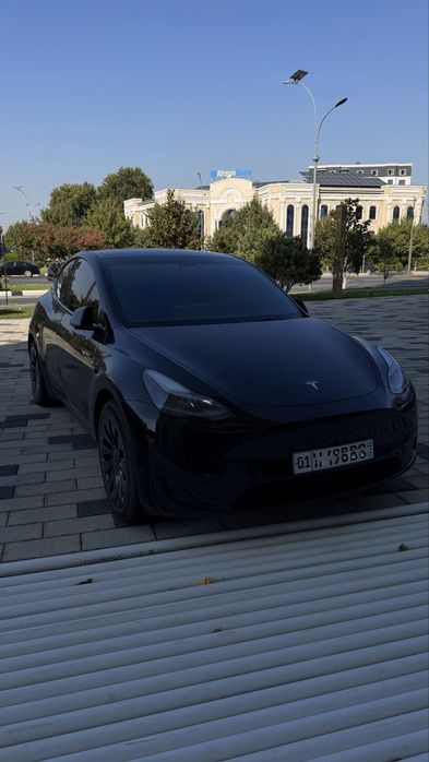 Tesla Model Y standart