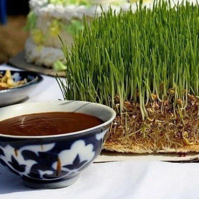 Asl toshkentning mohir sumalakchilari endi sizning xizmatingizda