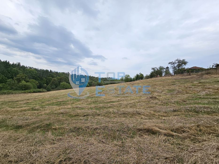 Продава се Парцел в Елена - 14900 кв.м за 3 €/кв.м - Снимка #1