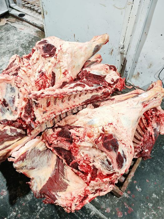 Мясо говядины тушами