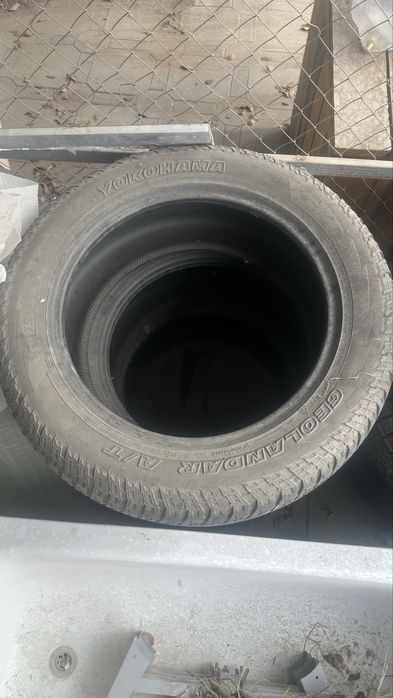 Шины ёкохама 4 болона