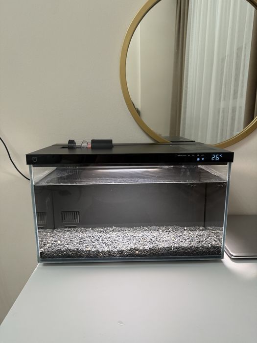 Аквариум Ксиоми