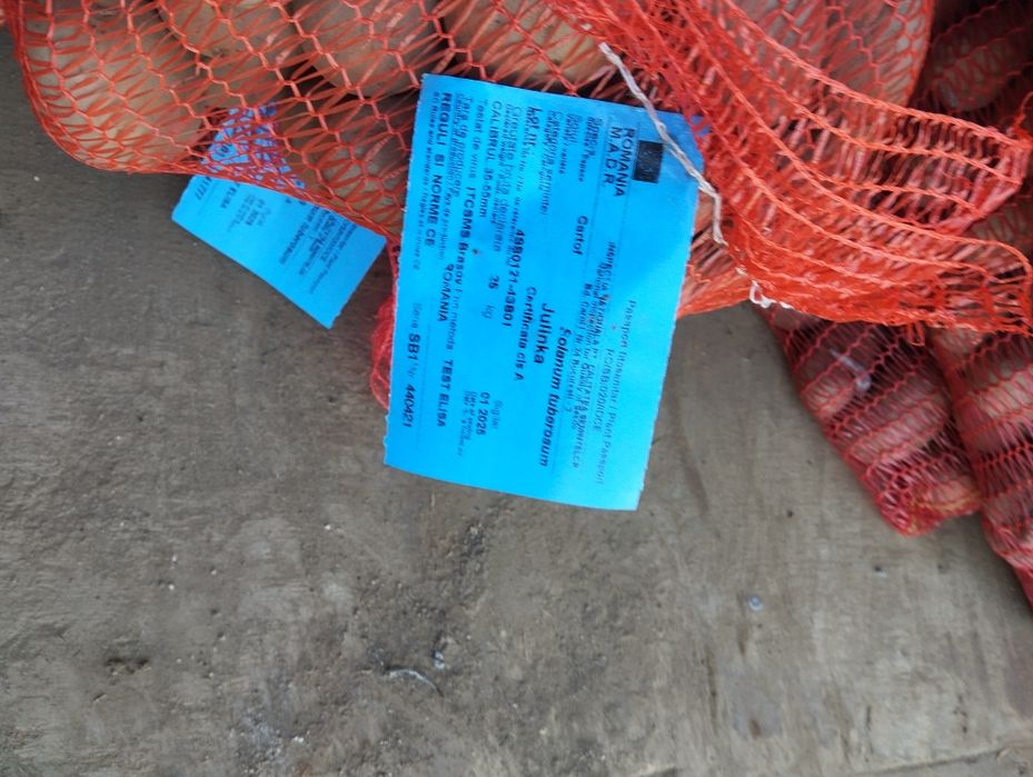 Vând cartofi sămânța clasa B