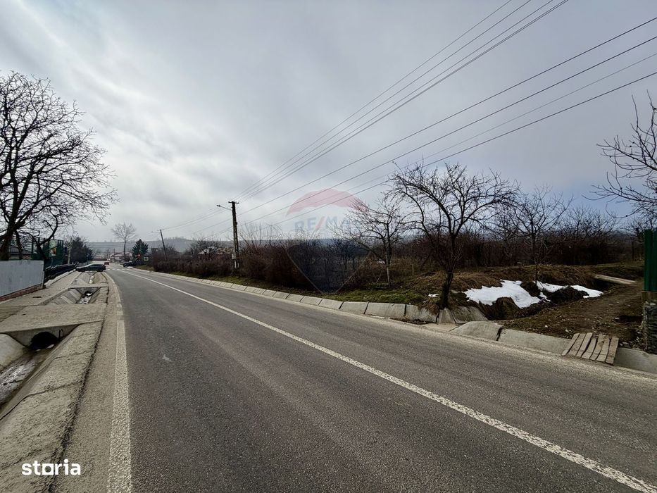 Casă cu 4 camere si teren 7727 mp Blidari