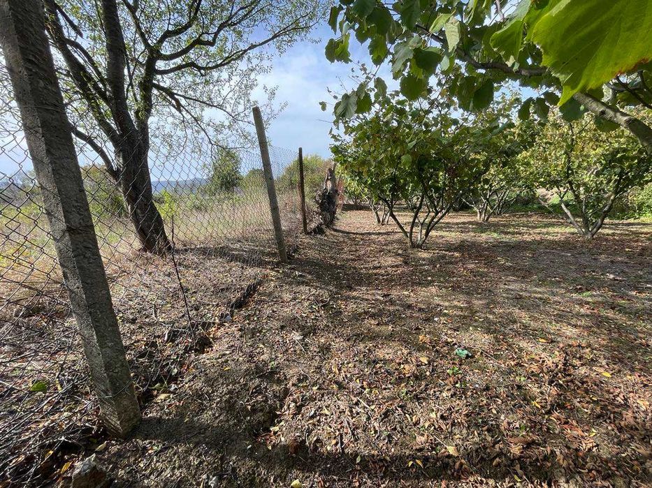 Продава се Земеделски имот в с. Драгоево, Област Шумен -  кв.м за 8 €/дка - Снимка #4