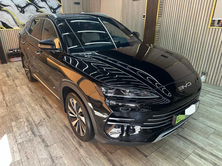 Champion d-mi hybrid Ofitsalniy