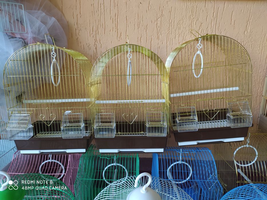 Большой выбор клеток