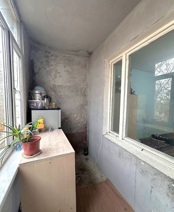 Массив Ттз-2.  3/4/4 Ориентир Базар