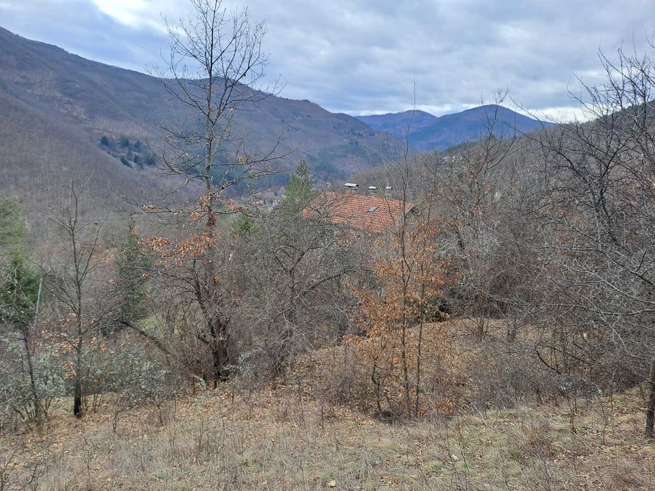 Вила в с. Батулия