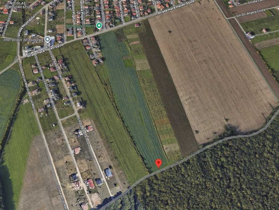 Teren 2000 mp in cartierul Grigorescu langa padure