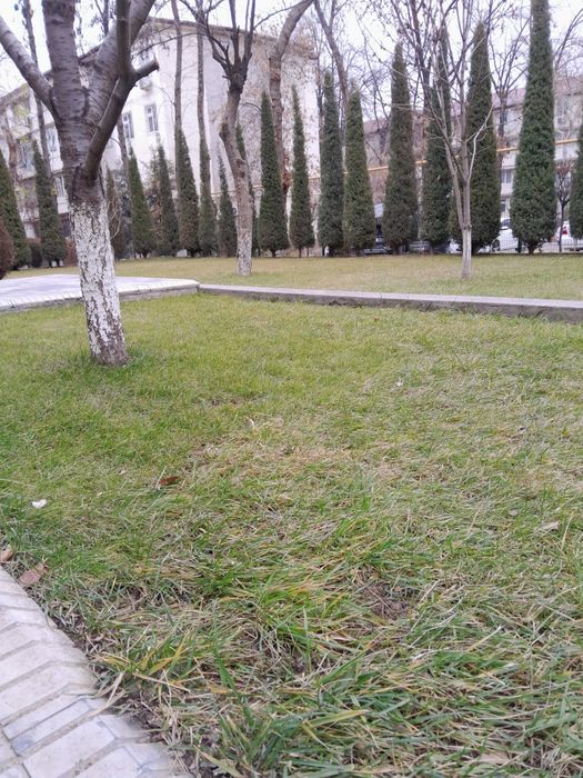 УБОРКА ОГОРОДА Помогу с уборкой участка  перевести порядок
Ванна • кух