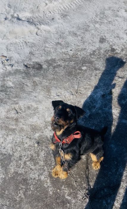 Ештеке бермим ……………