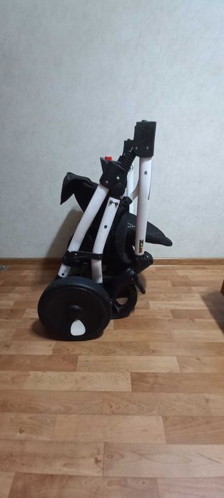 Детская коляска Zippy 2 в 1