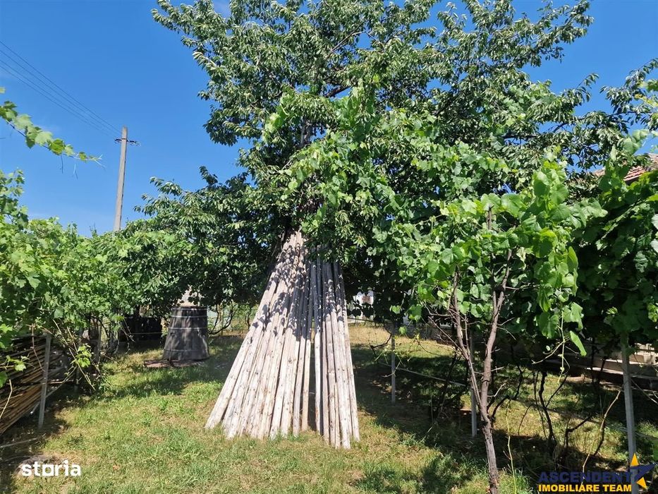 Casa traditionala, cu 2.000mp teren roditor, Izvoarele, Prahova