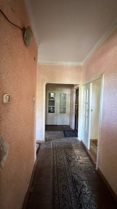 Tinchlik Guncha 2 hona