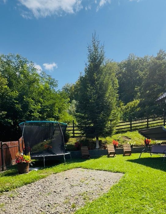 Cabana de inchiriat cu ciubar Galaoaia (Borzia)