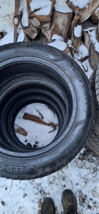 Зимни гуми DOT019 195/55/16