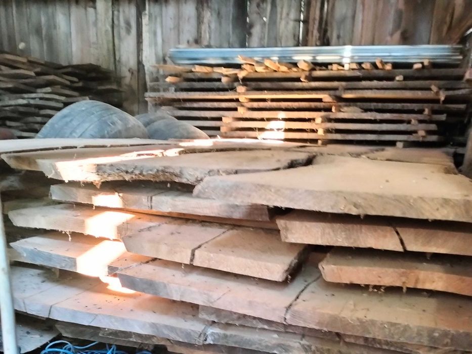 Scandura Cireș și Frasin!