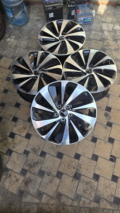 19 razmerli BYD champion radnoy disk