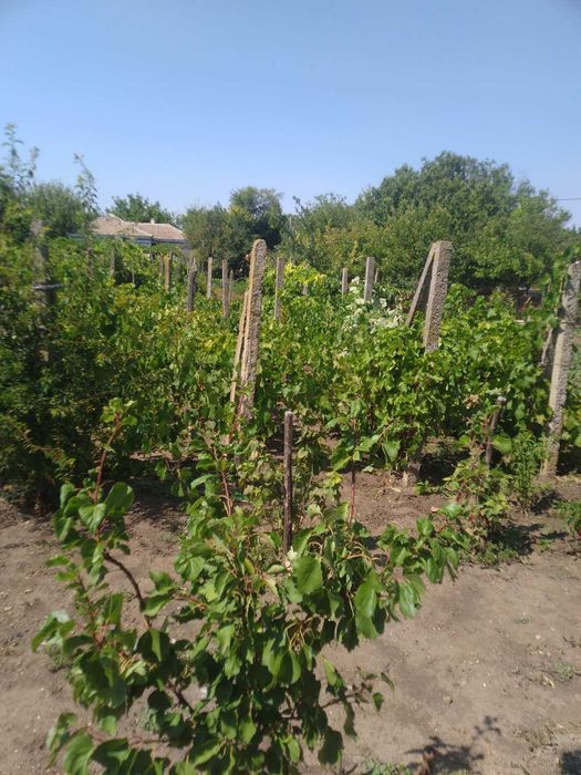 Продава се Къща в с. Септемврийци, Област Монтана - 120 кв.м за 292 €/кв.м - Снимка #3