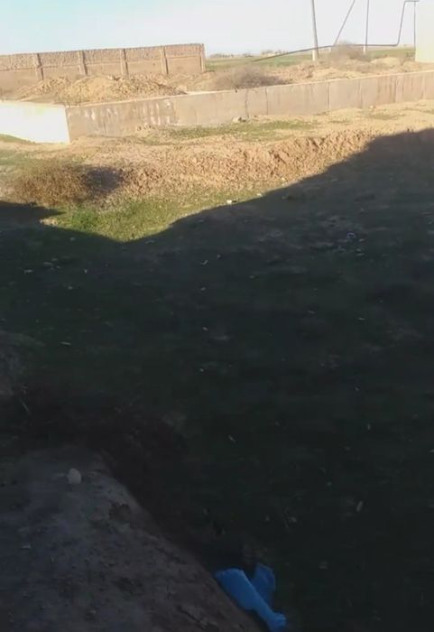 Uchastka kelishilgan holda