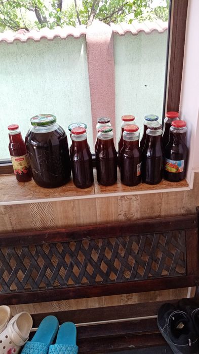 Sirop de mugur de brad la 1 litru