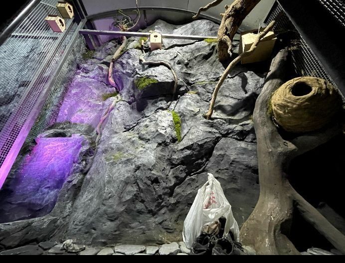 Декоративные камни