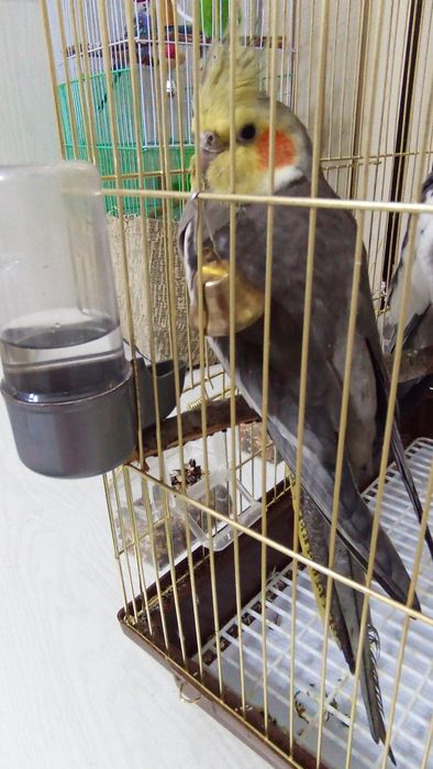 Он в хорошем состоянии