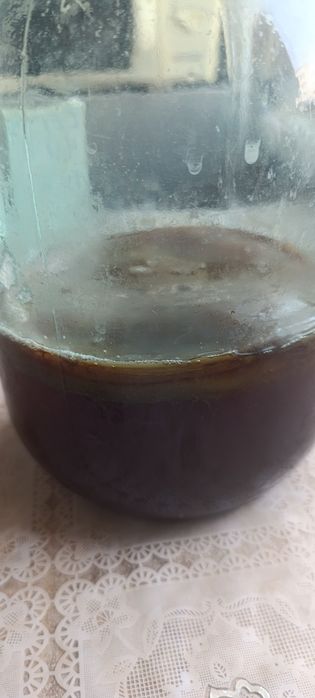 Чайный гриб.продам.