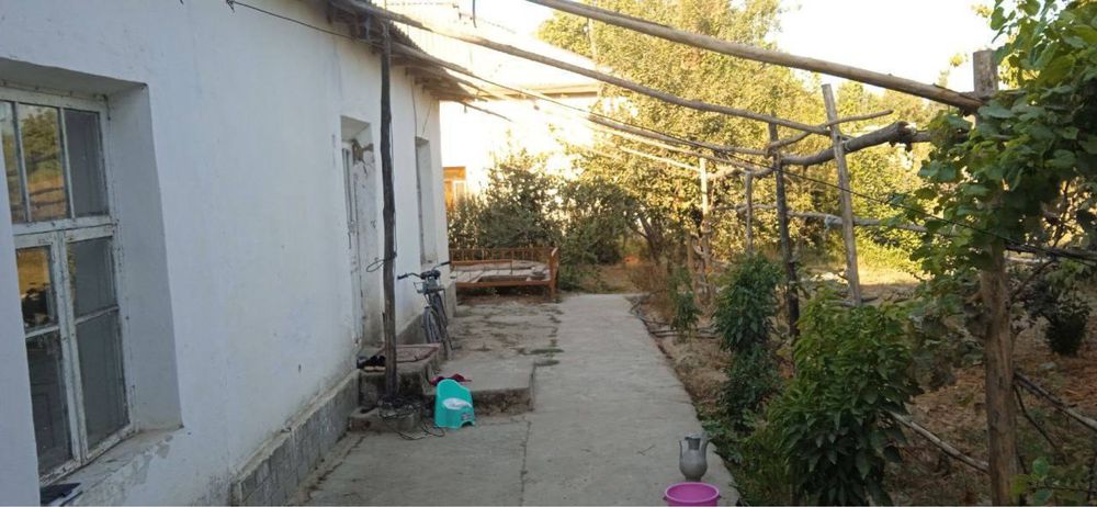 chinoz ta hovli uy sotiladi