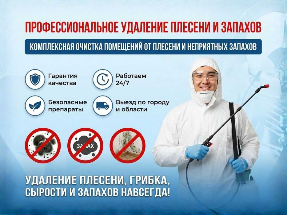 Профессиональное удаление плесени, грибка и ртути. Демеркуризация