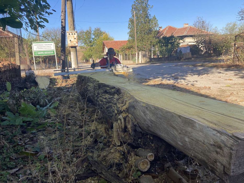 Разбичване на трупи на място
