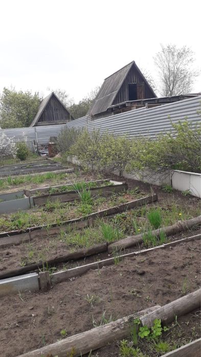 продам дачу со мелиоратор