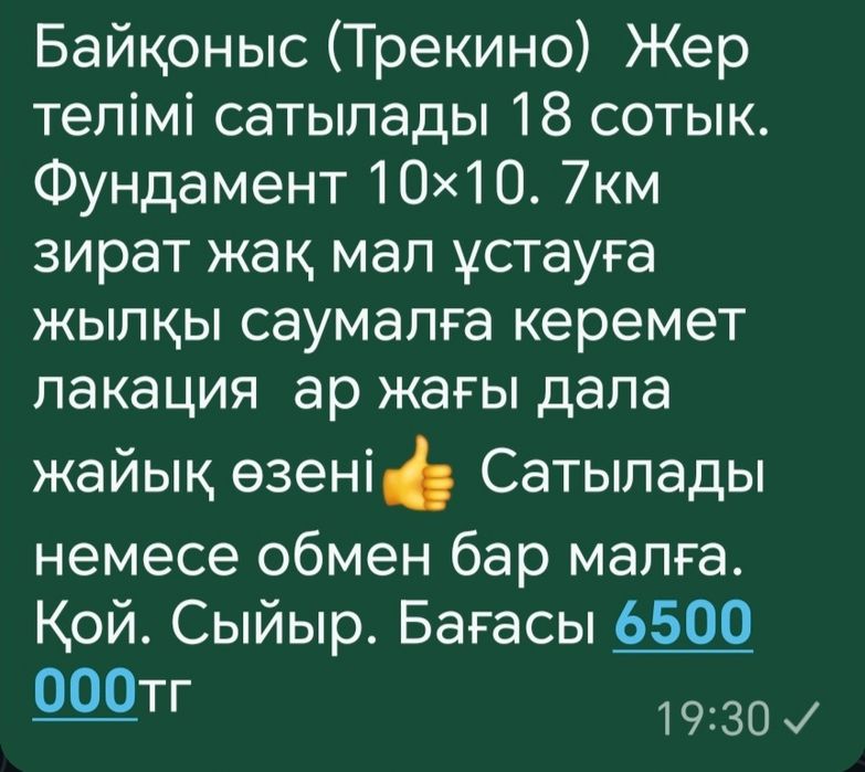 Қой. Сыйыр. Бараны. Коровы