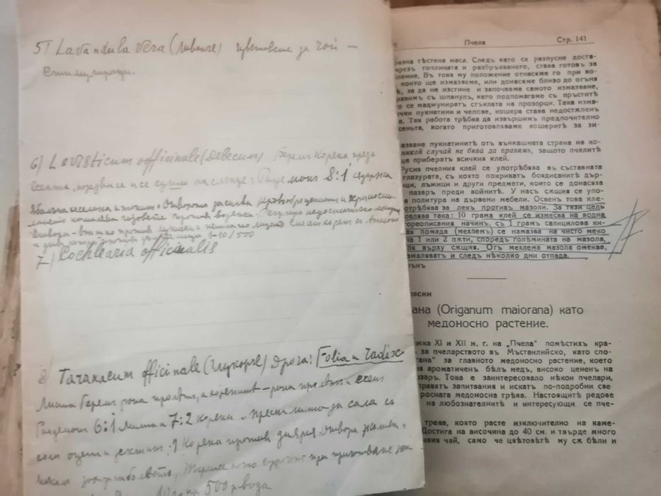 Списание Пчела 1927 г,Справочник на радиолюбителя; Под игото; Календар