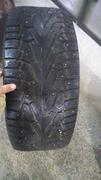 Звандап сурандаршиш