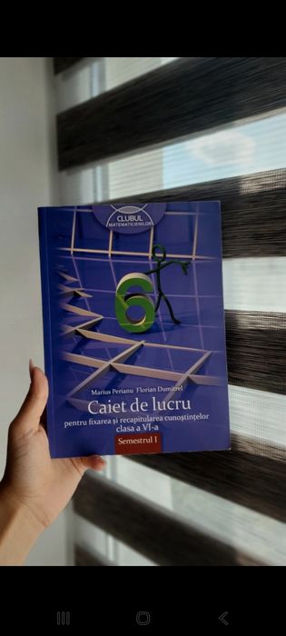 Caiet de lucru clasa a 6 a matematică