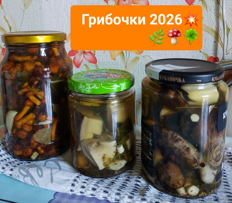 Грибы  сушенные сморчки,ассорти, Маринованные