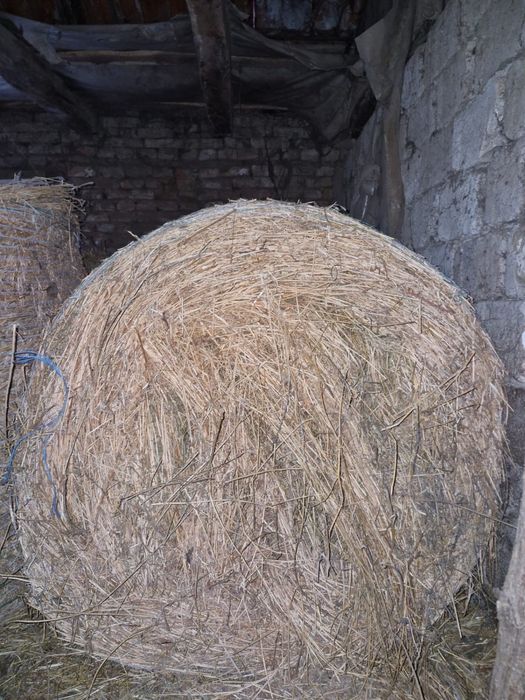 Vand baloti de lucerna