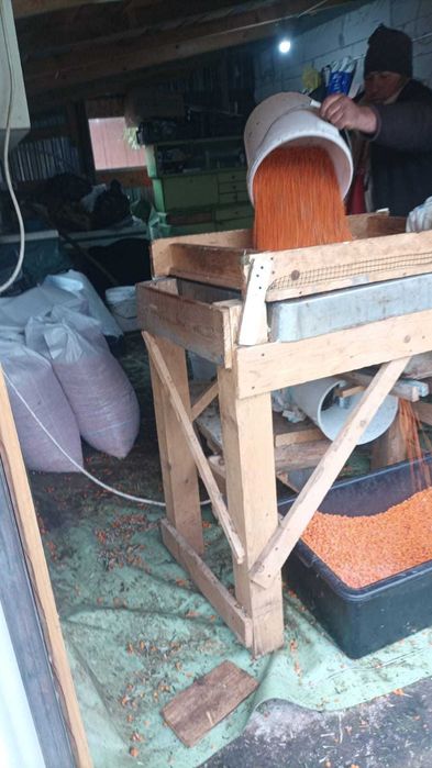 Vand catina congelata