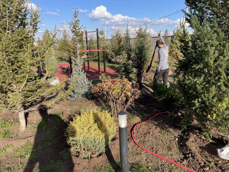 Озелинение, сад облагораживание