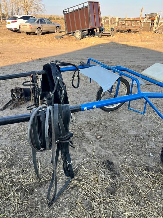 Продам рысистую сбрую качалку