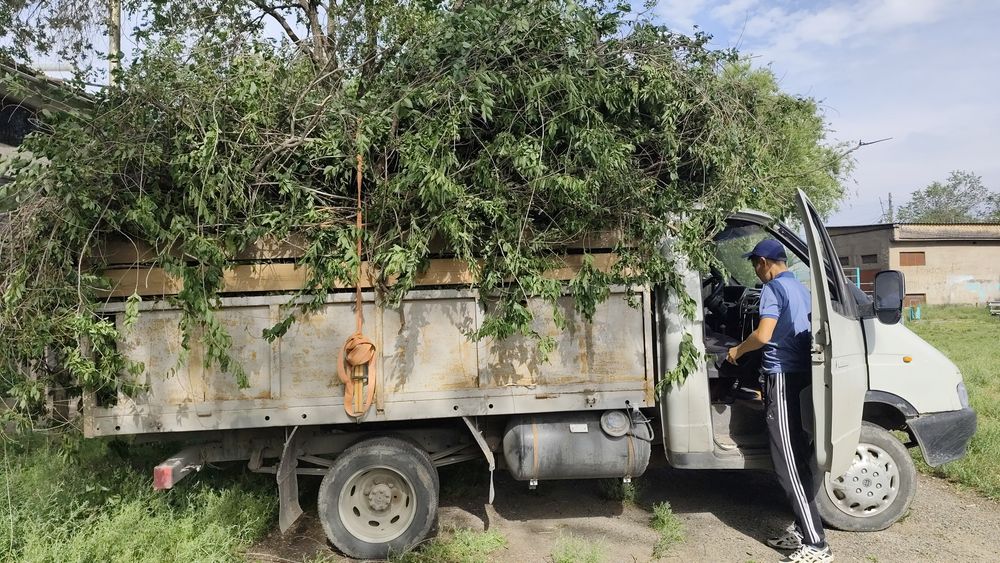 Вывоз мусара доставка