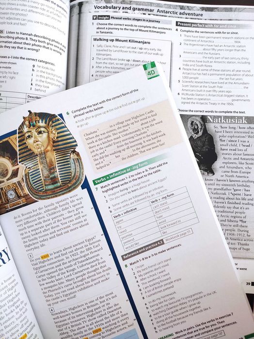Insight Pre-intermediate учебник