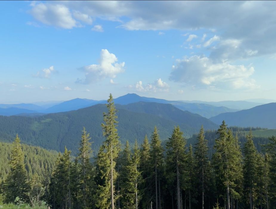 Editare foto-video la prețuri accesibile!