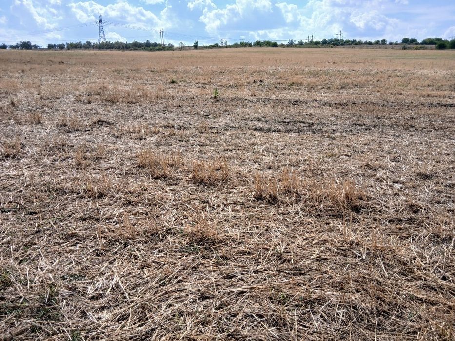 Продава се Земеделски имот в Варна, Трошево -  кв.м за 1530 €/дка - Снимка #1