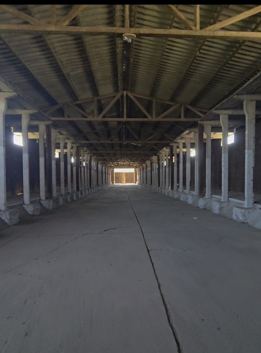 Inchiriez HALA 1545 mp DRĂGĂŞANI - acces 2 strazi