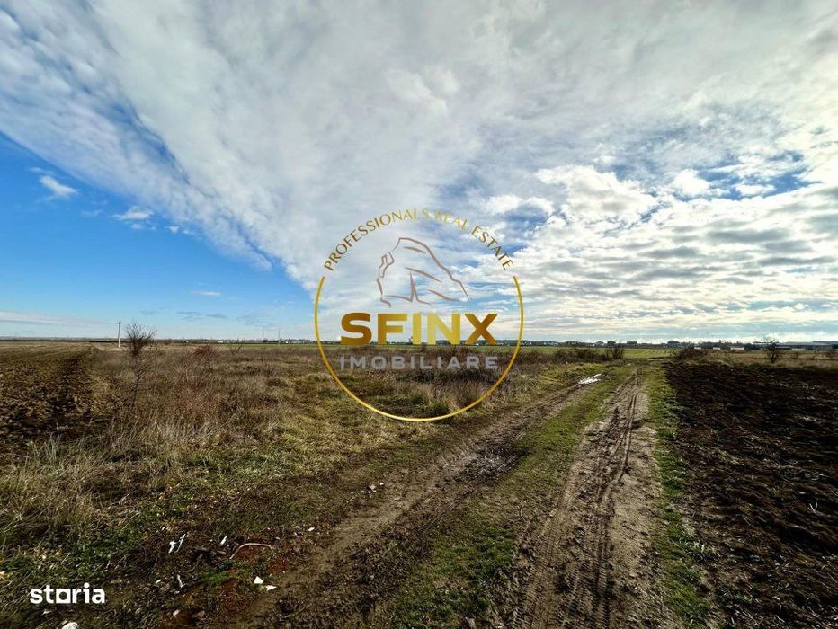 LOT de casa Tartasesti Primarie | teren cu potential