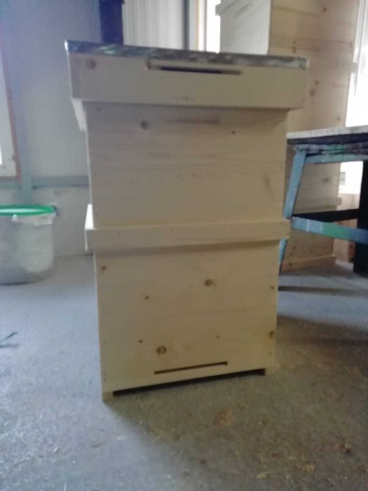 Stupi albine DADANT-  orice tip cu preturi începând de la 155 lei/buc.