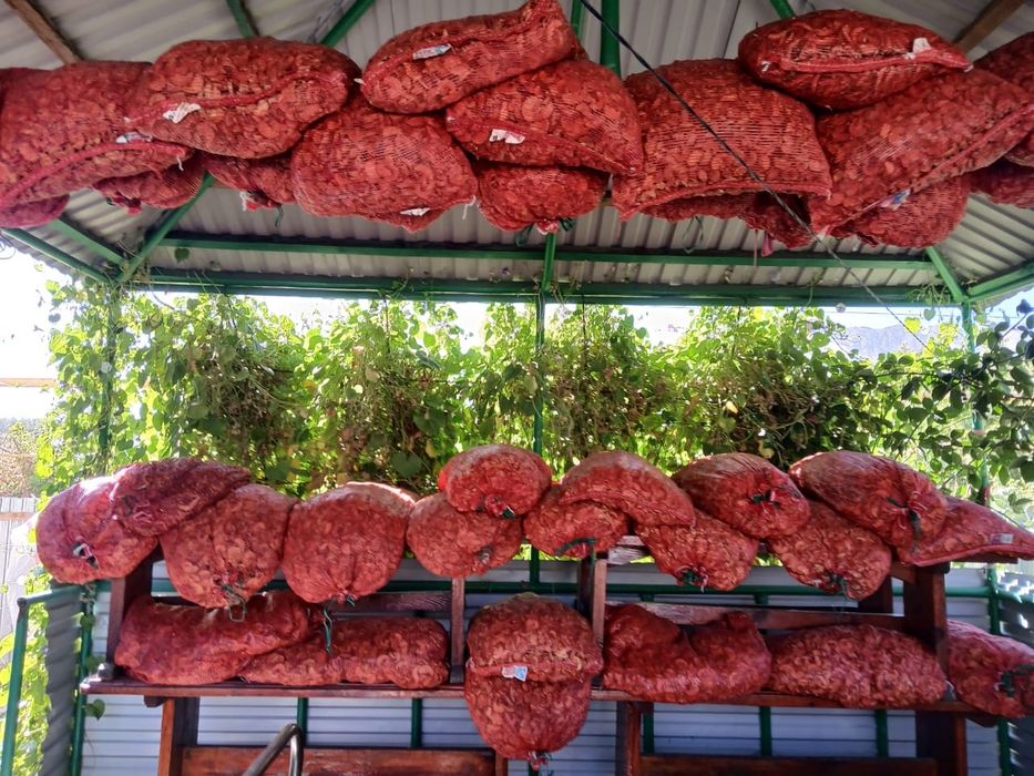 Продам сухофрукты домашние